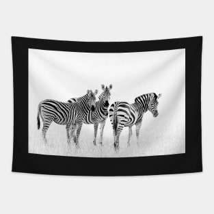 Zebra Trio in Winter Grass | African Wildlife Tapestry