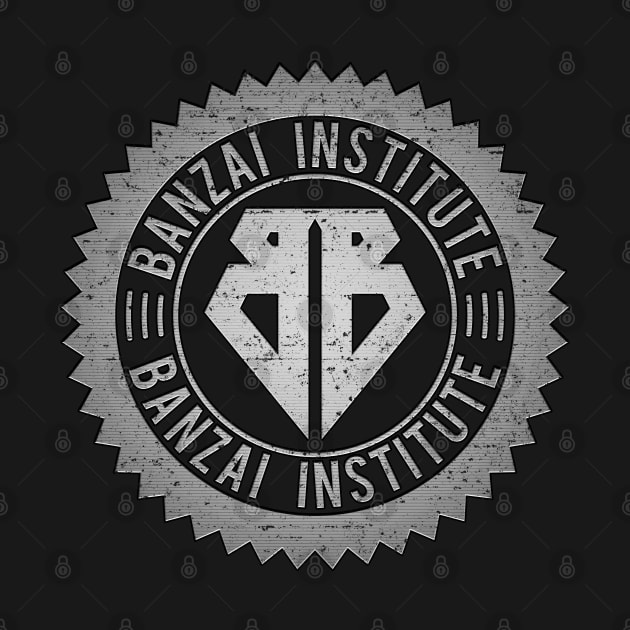 Banzai Institute [Steel/Worn] by Roufxis