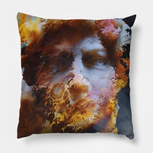 The Observer Pillow