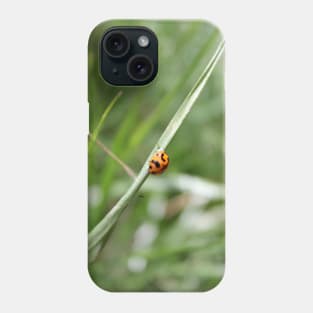 Lucky Ladybug in the grass Phone Case