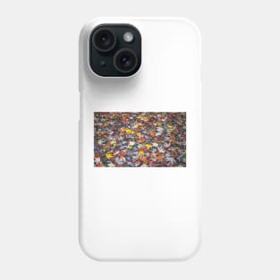 Colourful autumn leaves Phone Case