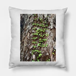 Vine Pillow