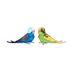 Budgie - blue mutation and recessive pied T-Shirt