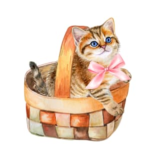 Kitten in basket with bow T-Shirt