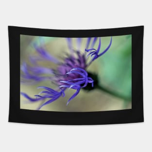 Cornflower Tendrils Tapestry