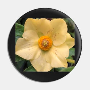 Tender Yellow Flower Pin
