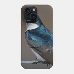 Bird on a Wire: Tree Swallow Phone Case