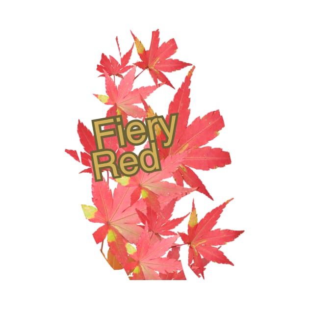 Maple leaves Fiery red by pmArtology