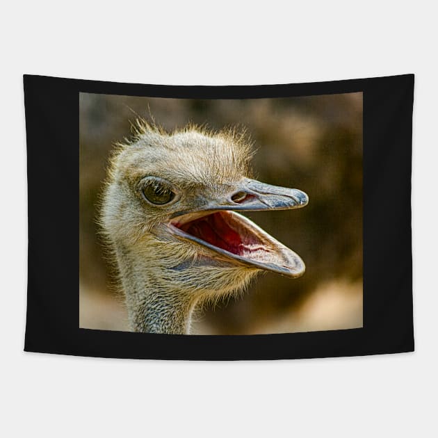 Ostrich, Chiang Mai Zoo, Thailand Tapestry by bulljup