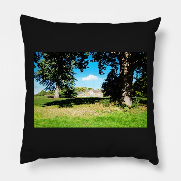 Lily Hill House, Bracknell, England Pillow by fantastic-designs