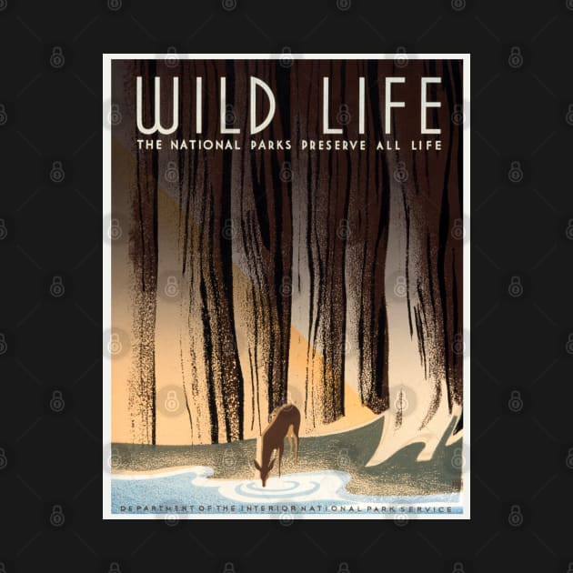 Restored USA Dept of the Interior and National Park Service Wildlife Preservation Poster by vintageposterco