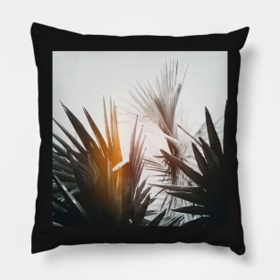 Flare #1 Pillow