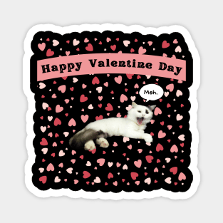 valentine day? meh. Magnet