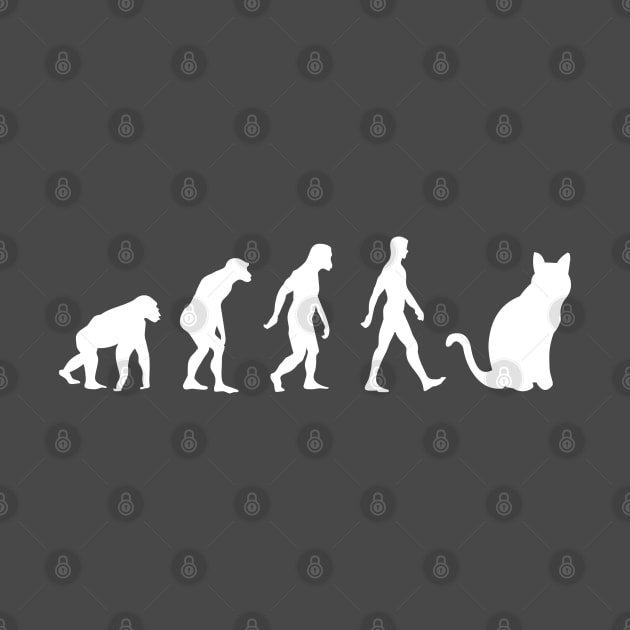 HUMAN CAT EVOLUTION by MoreThanThat