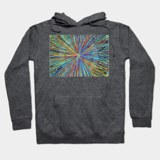 cern hoodie