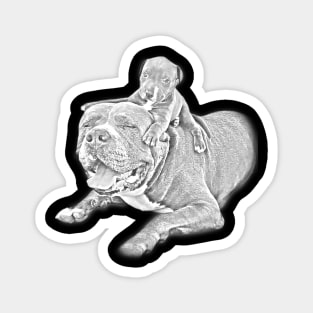 Puppy Pitbull Sketch Design Magnet