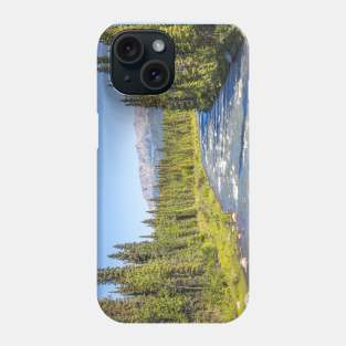 USA. Alaska. Denali National Park. Scenery. Phone Case