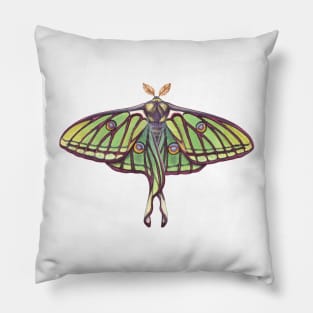 Spanish Moon Moth Pillow