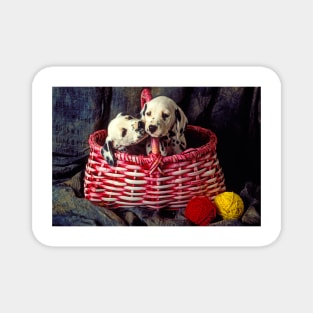 Two Dalmatian Puppies In Pink Basket Magnet