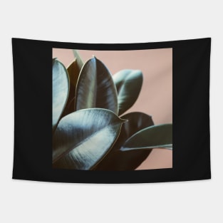 Ficus Elastica #2 Tapestry