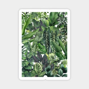 Urban Jungle Illustration 1 Magnet