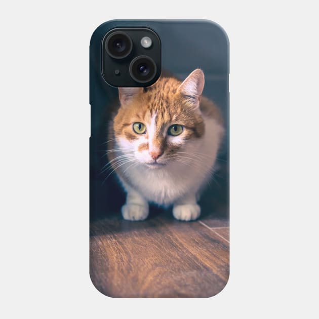 Picture of a cat sitting on the floor Phone Case by Czajnikolandia