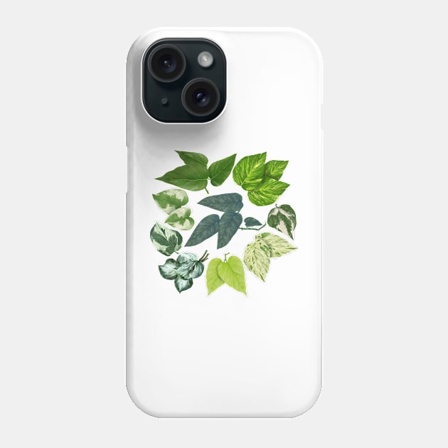 Pothos Leaves Art Phone Case by Khotekmei