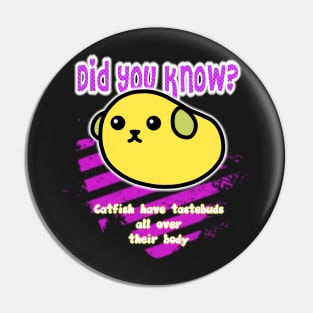 Did you know? 11 Pin