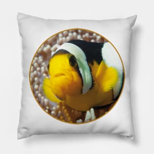 Anemone fish | Close Up! | Pillow
