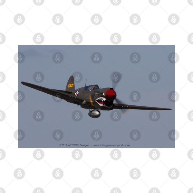 Discover P-40E Warhawk fly-by - P 40 Warhawk - T-Shirt