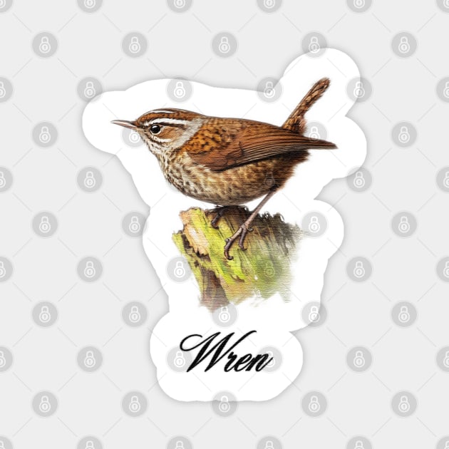 a wren sitting on top of a tree brash Magnet by JnS Merch Store