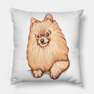 Cute Pomeranian Pillow