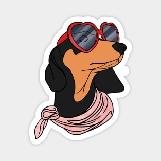 Cute dachshund Magnet