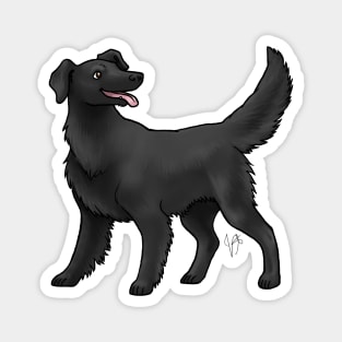 Dog - Flat-Coated Retriever - Black Magnet