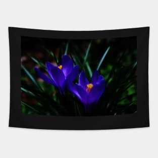 Blue Crocus Tapestry