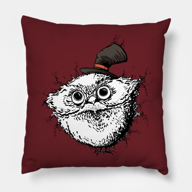 A Cute Fuzzy Owl with an Adorable Little Hat Pillow by obillwon