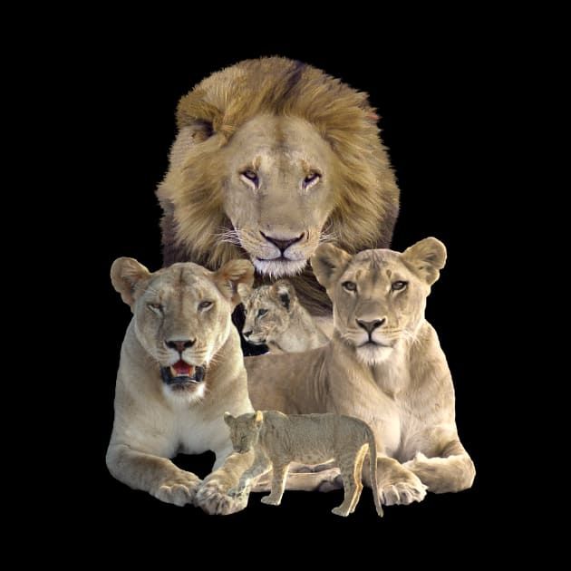 Lion Family in Kenya / Africa by T-SHIRTS UND MEHR