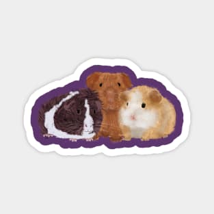 Three Guinea Pigs Magnet