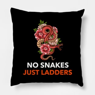 No Snakes Just Ladders Pillow