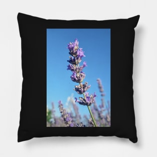 Single Lavender Flower Pillow