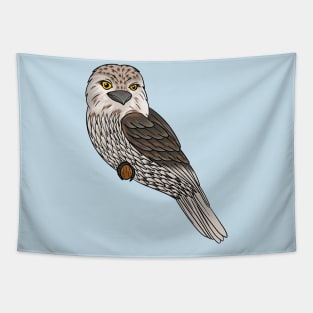 Tawny frogmouth bird cartoon illustration Tapestry