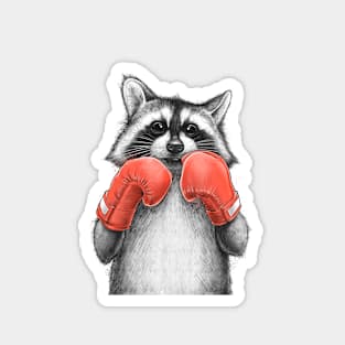 Raccoon boxer Magnet