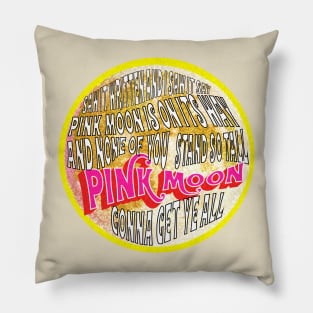 Nick Drake Pink Moon Pillow