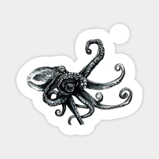 Octopus Magnet