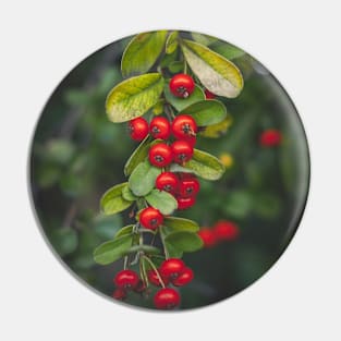 Berries Pin