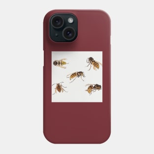 Studies of wasps by Julie de Graag (1877-1924). Phone Case