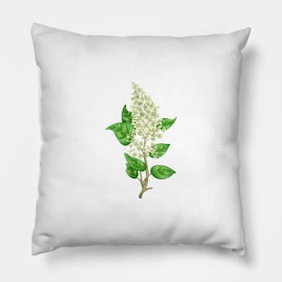 White Lilac Botancial Pillow