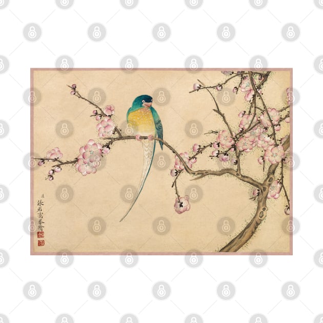 Bird with Plum Blossoms by Zhang Ruoai by Oldetimemercan