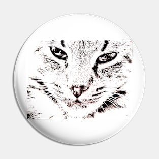 Cat in close up Pin