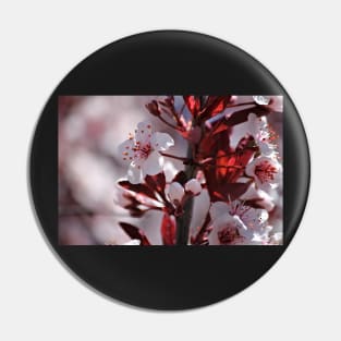 Japanese Cherry Tree (#2) Pin